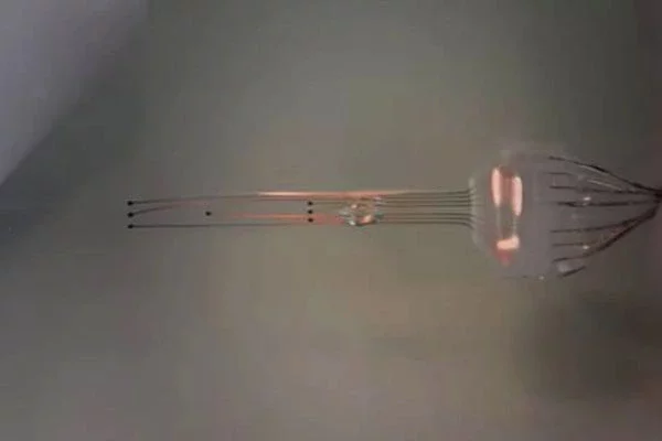 e-Dura implant, скрыншот з відэа