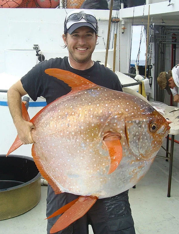 Ихтиолог Ник Вегнер с лунной рыбой. Фото: Southwest Fisheries Science / CenterNOAA Fisheries