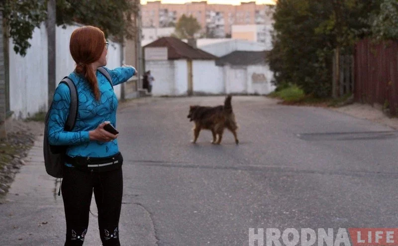 Юлия показывает, как одна из собак патрулирует дорогу, по которой ей нужно проехать.